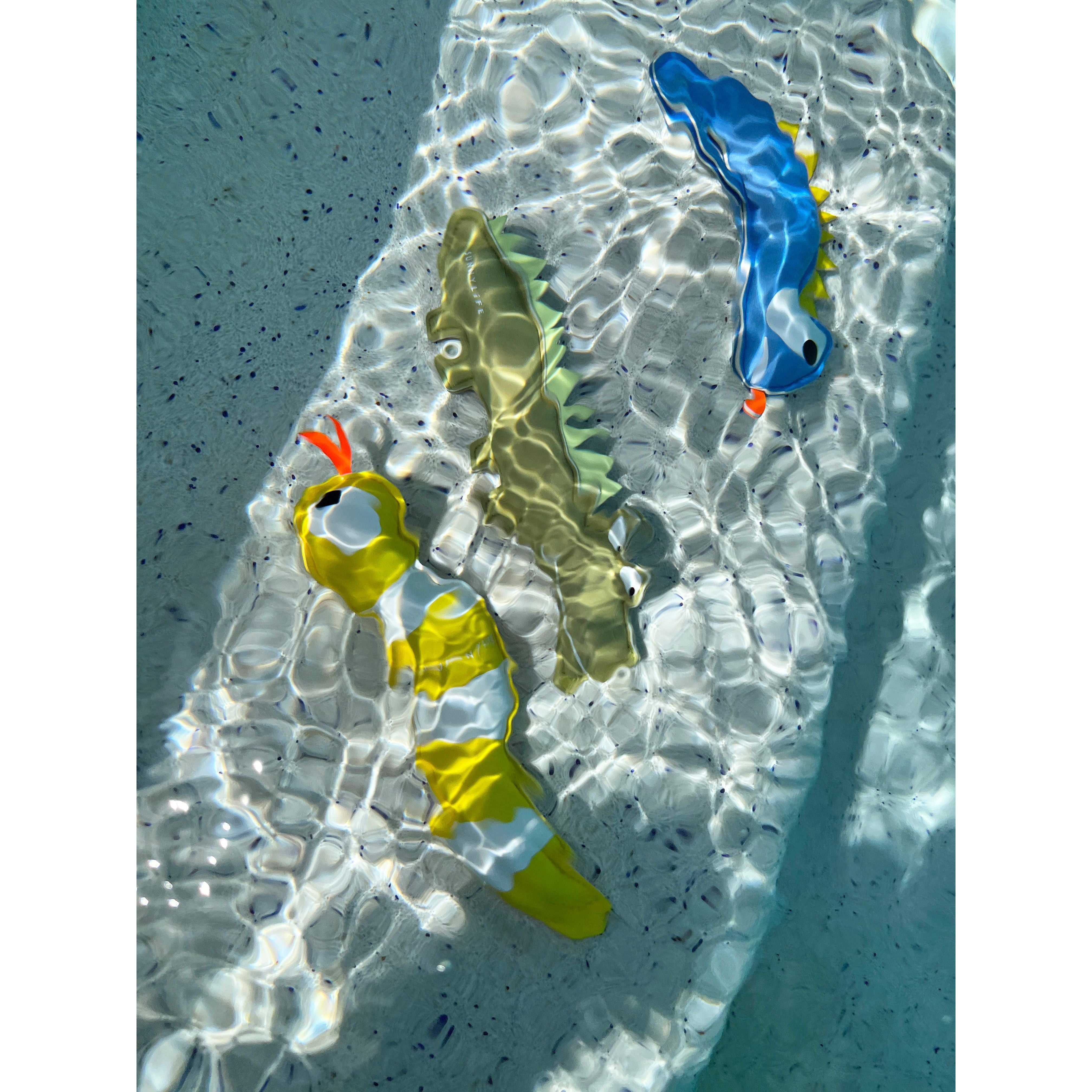 Dive Buddies - Into the Wild Multi Set of 3