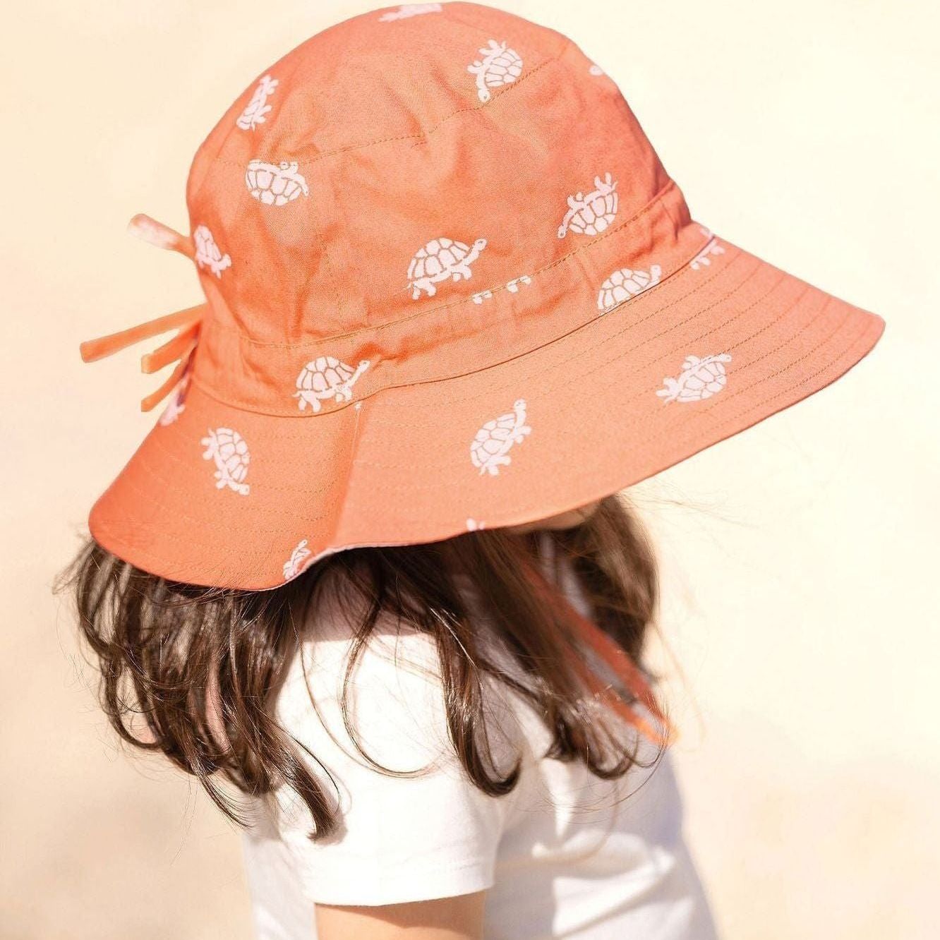 Sunhat Dreaming Turtle