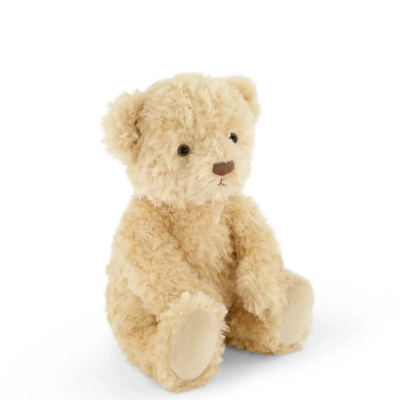 Arthur the Bear