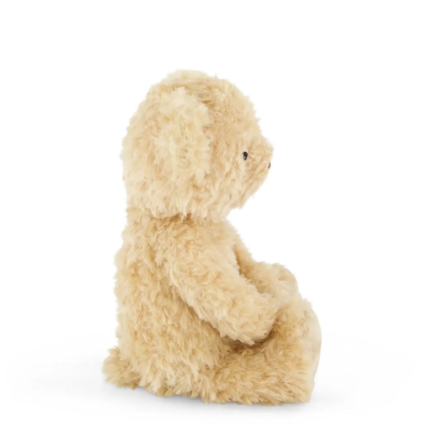 Arthur the Bear
