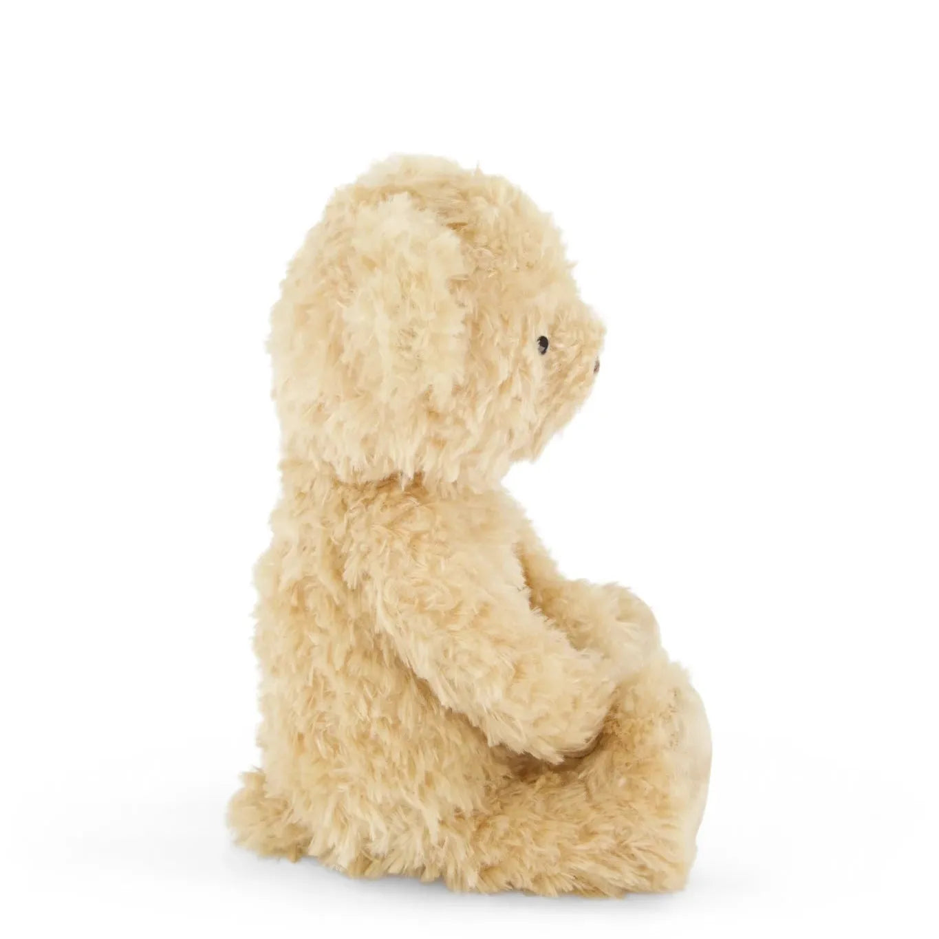Arthur the Bear