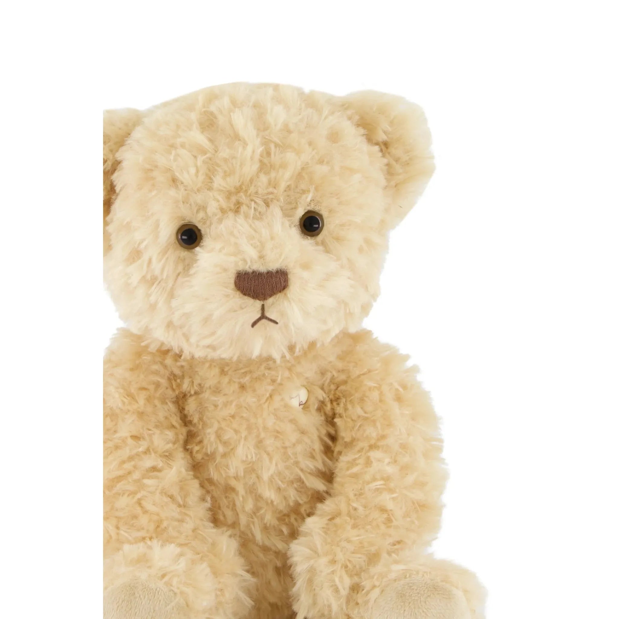 Arthur the Bear