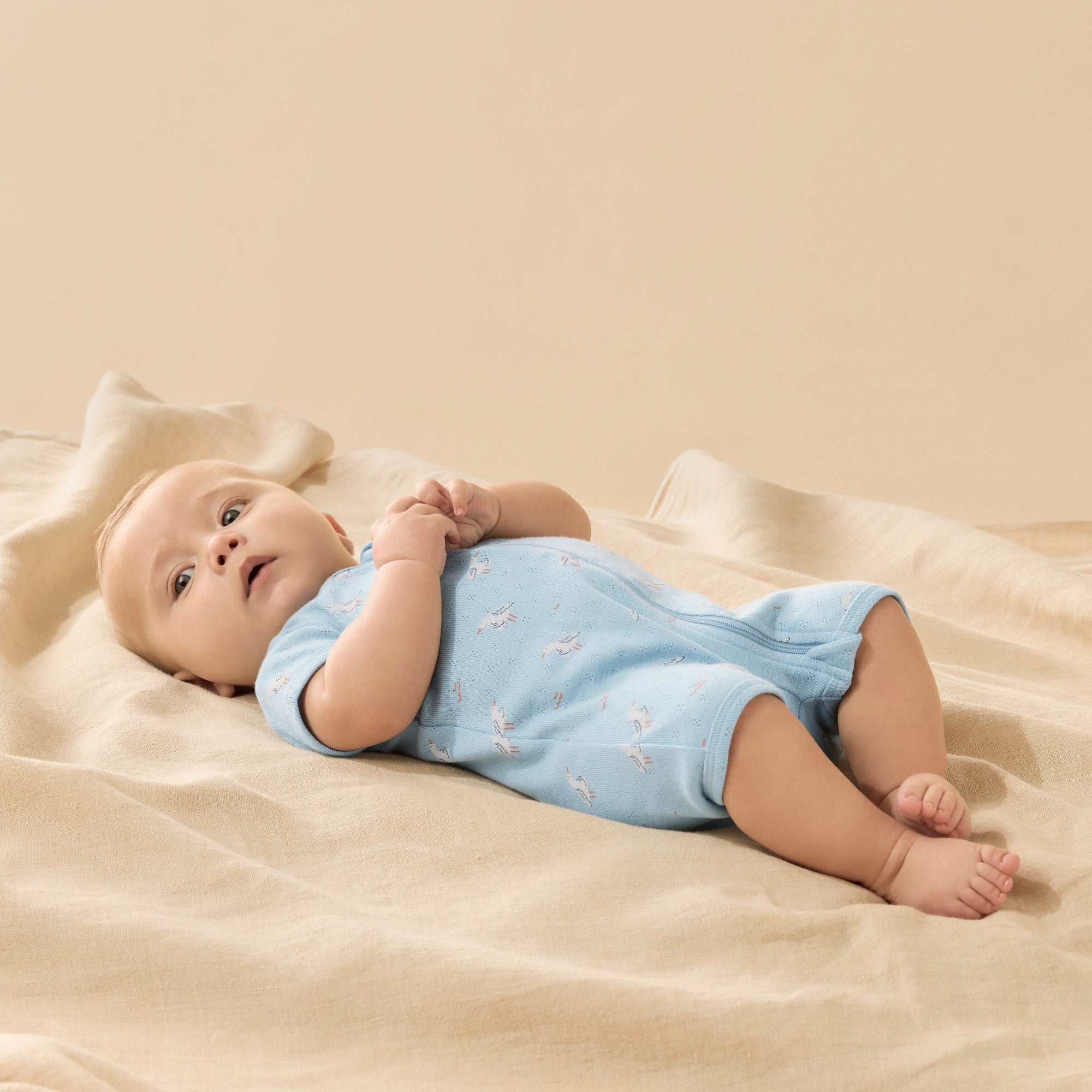 Sunny Seagulls Organic Pointelle Boyleg Zipsuit