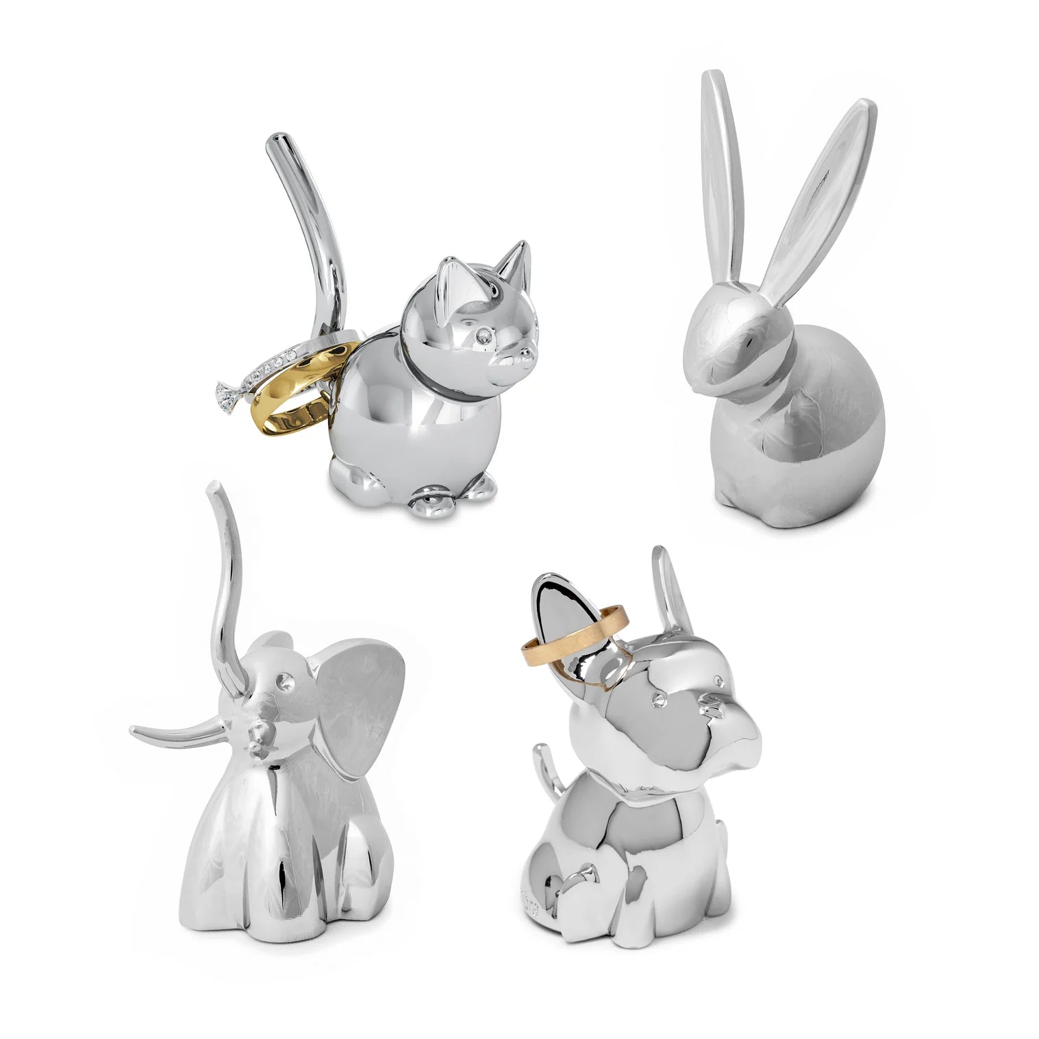 Zoola Ring Holder - Assorted
