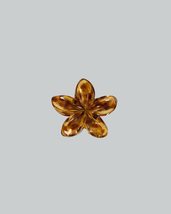 HIBISCUS CLIP