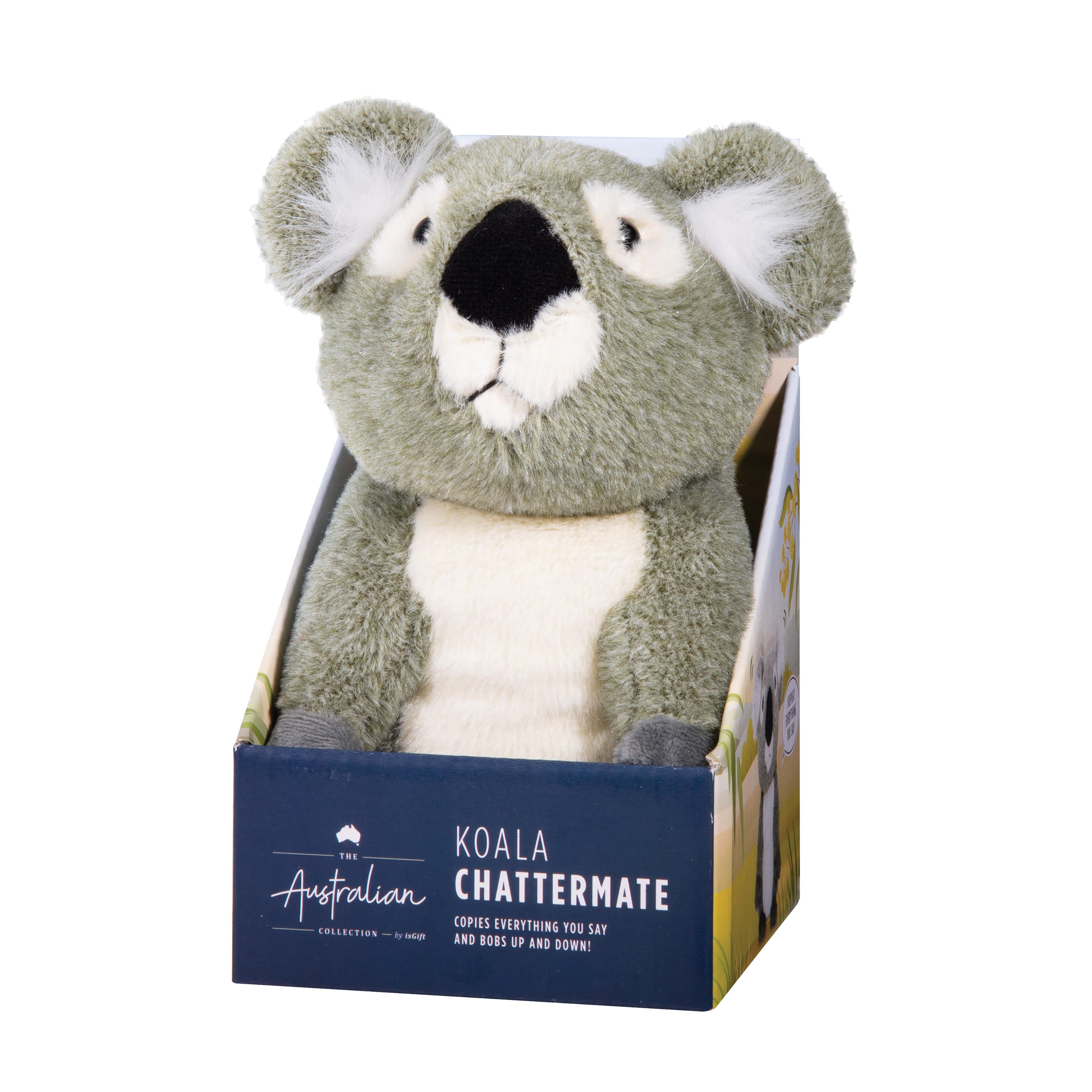 ChatterMate-Koala
