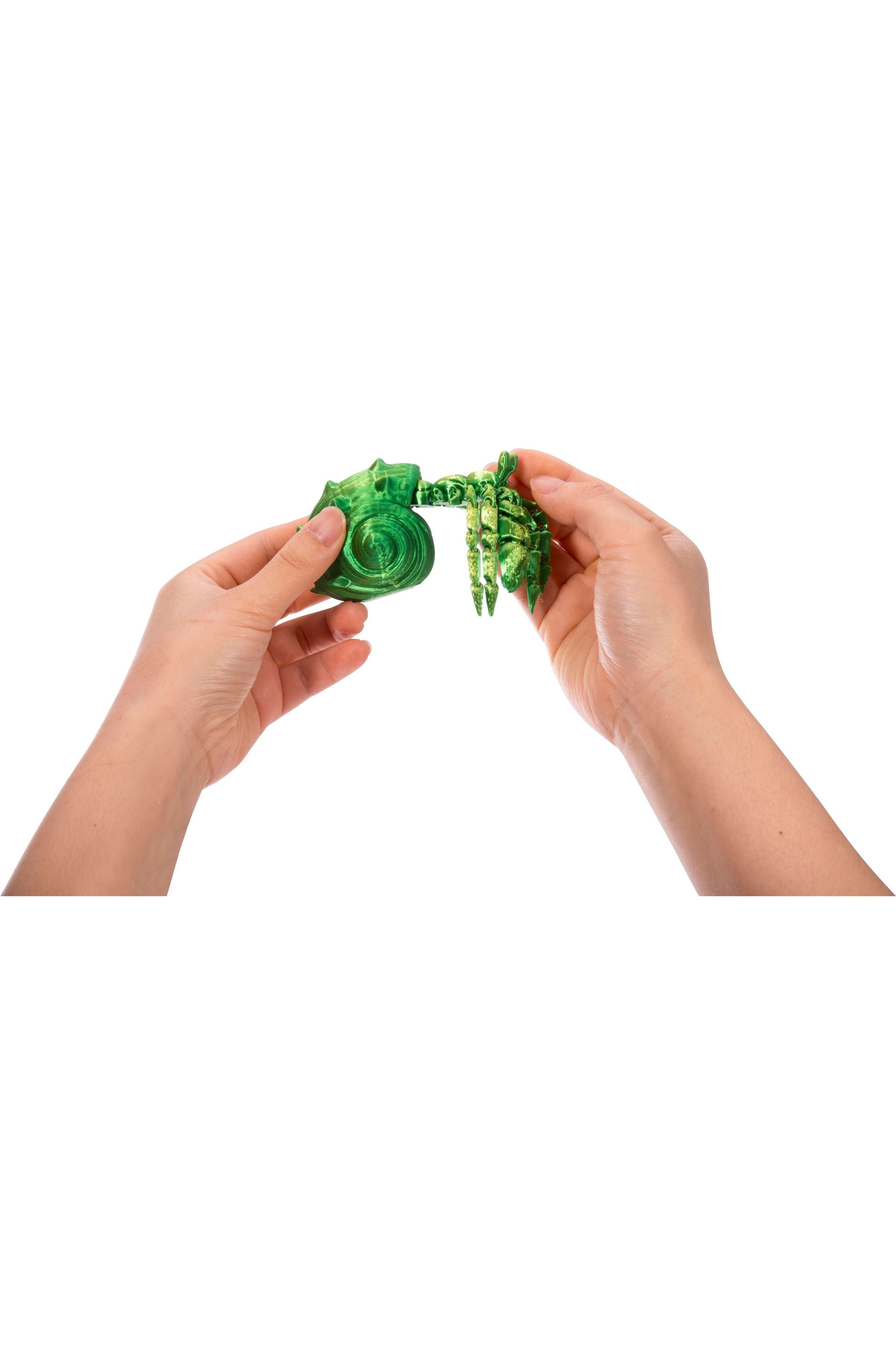 3D Sensory Sealife Creatures