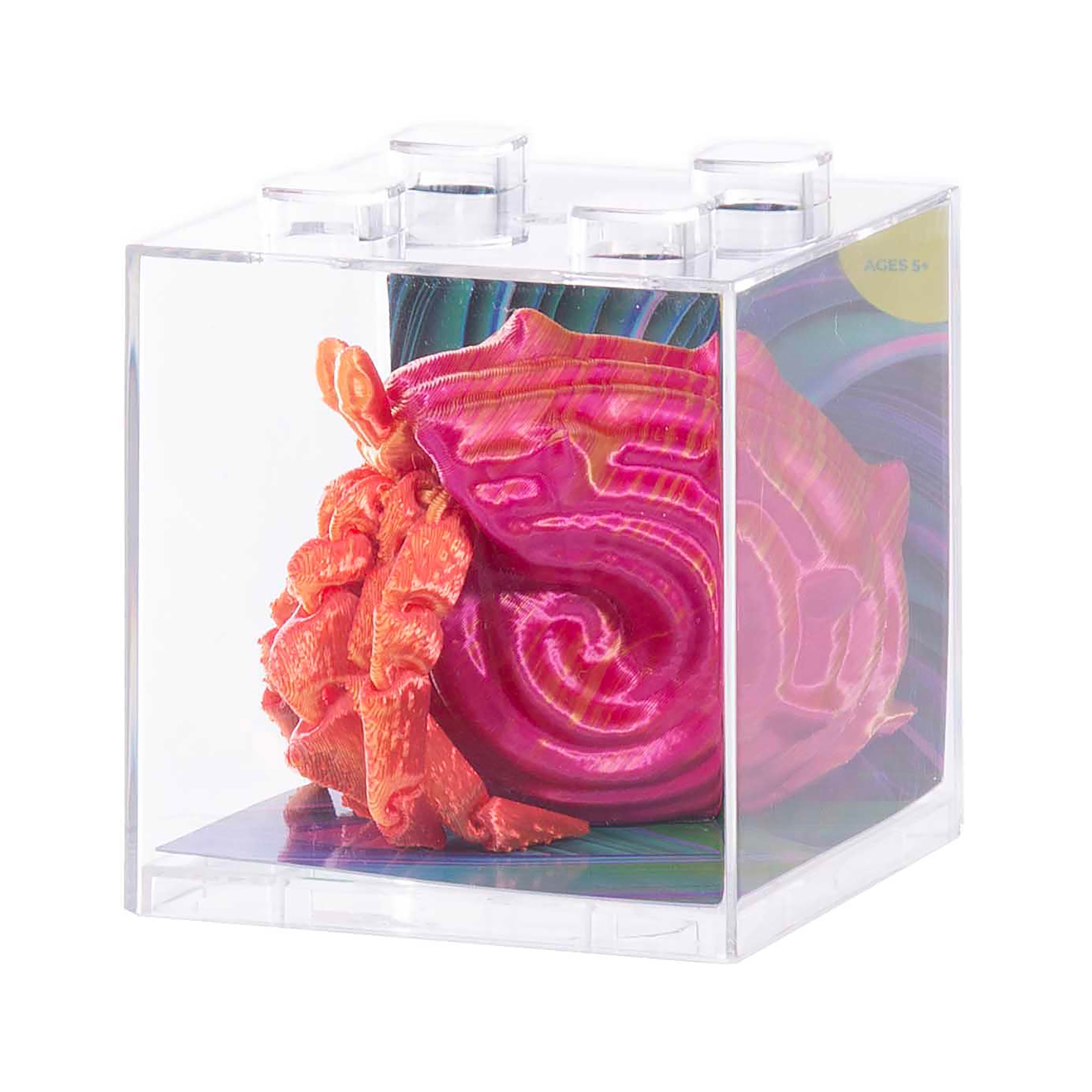 3D Sensory Sealife Creatures