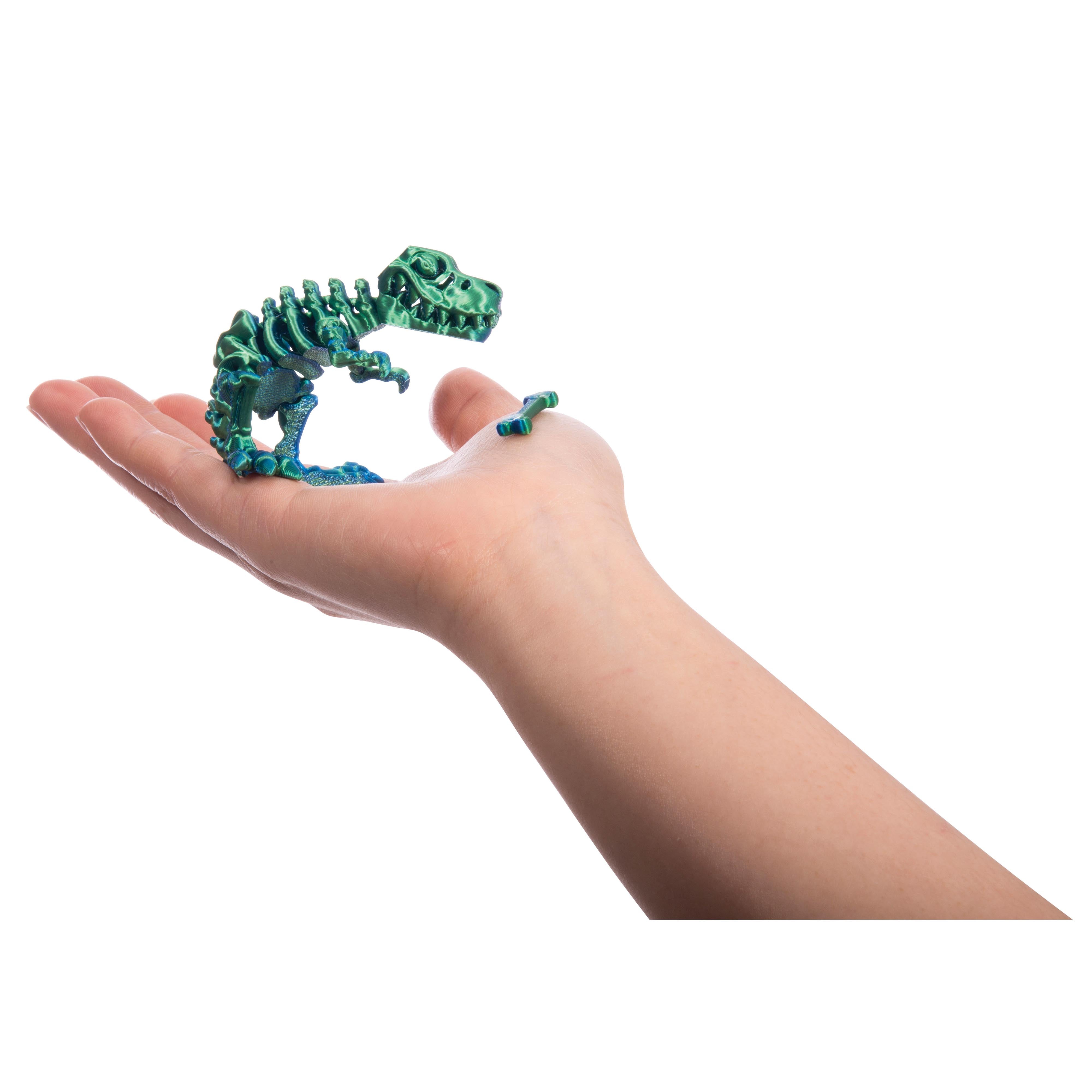 3D Sensory TRex