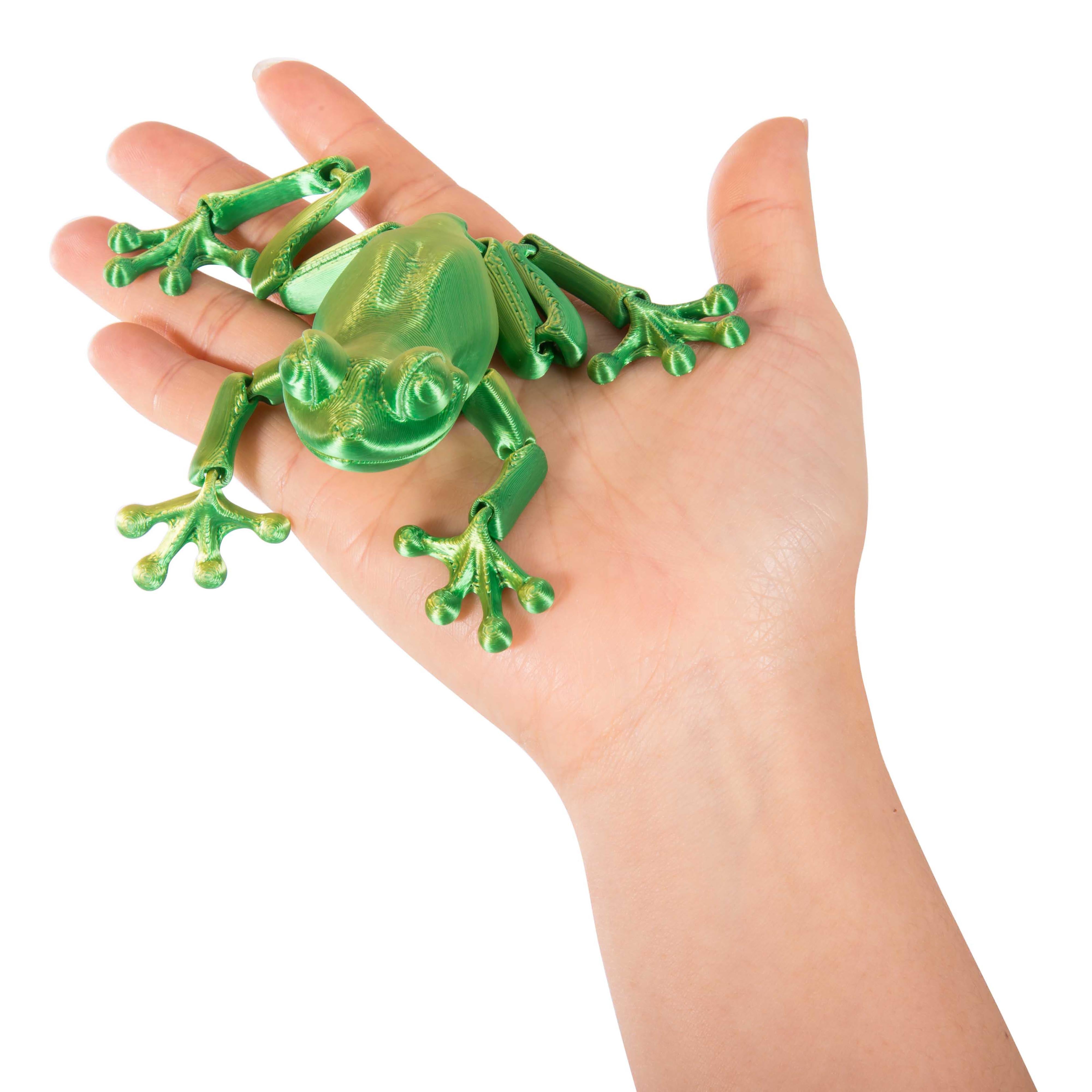 3D Sensory Frog