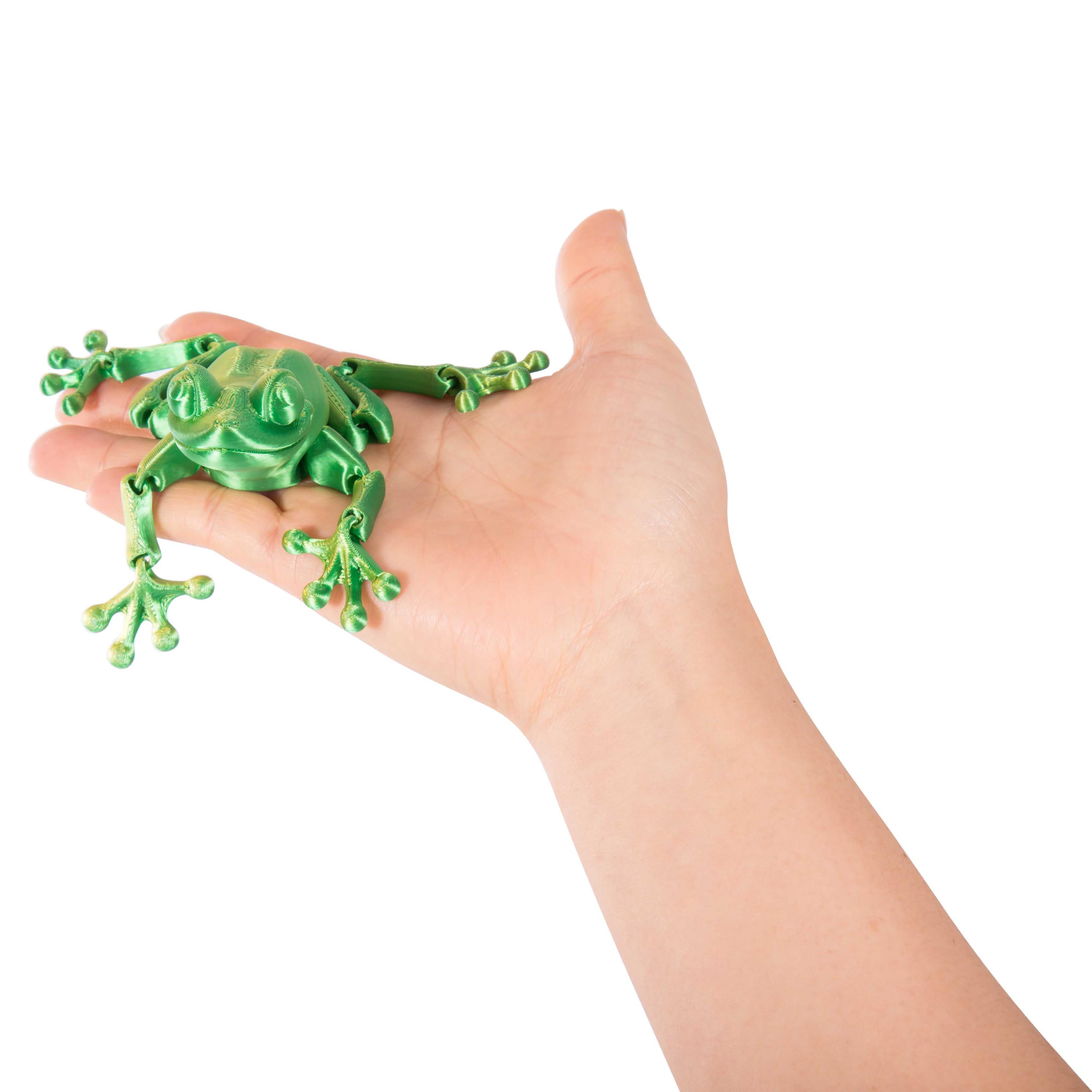 3D Sensory Frog