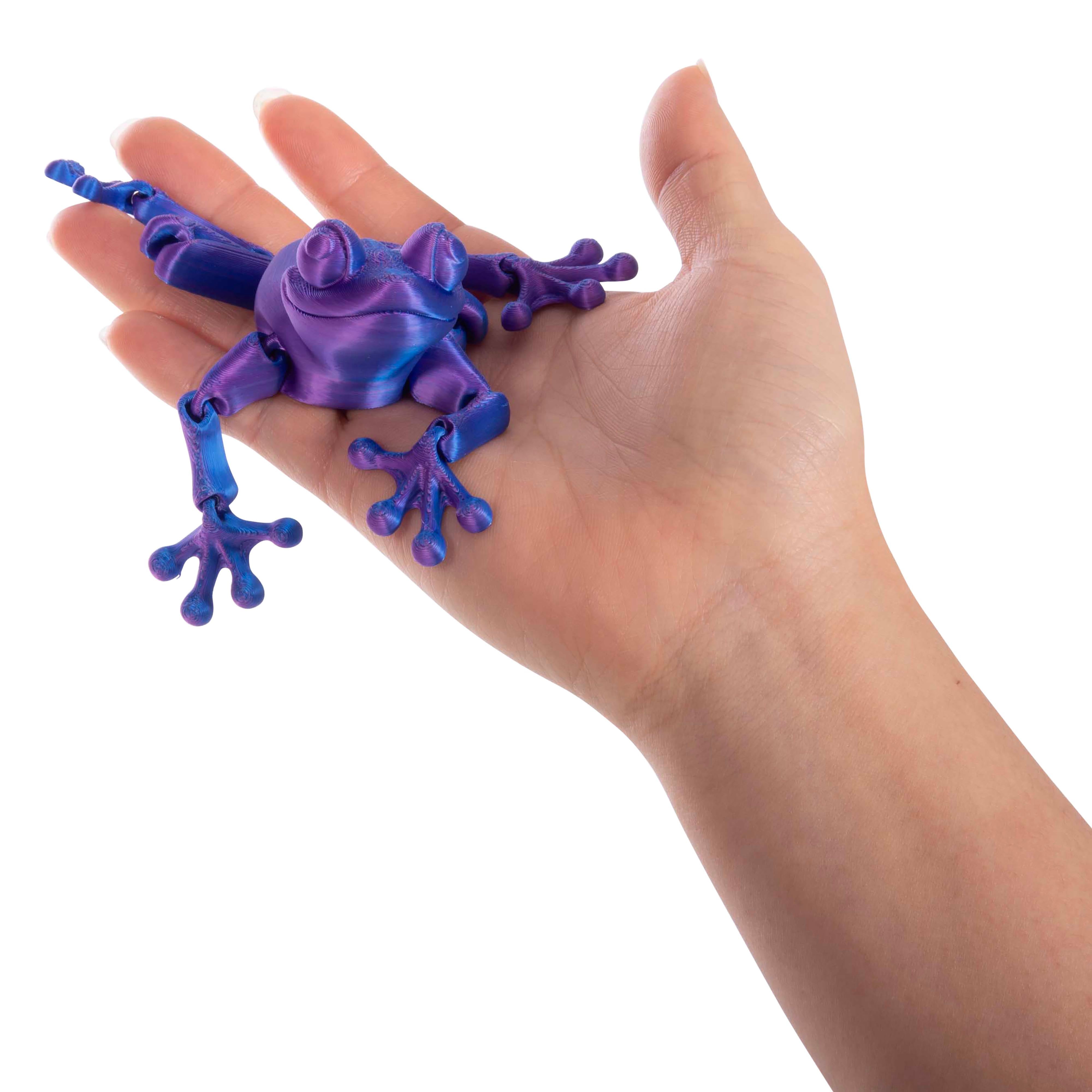 3D Sensory Frog