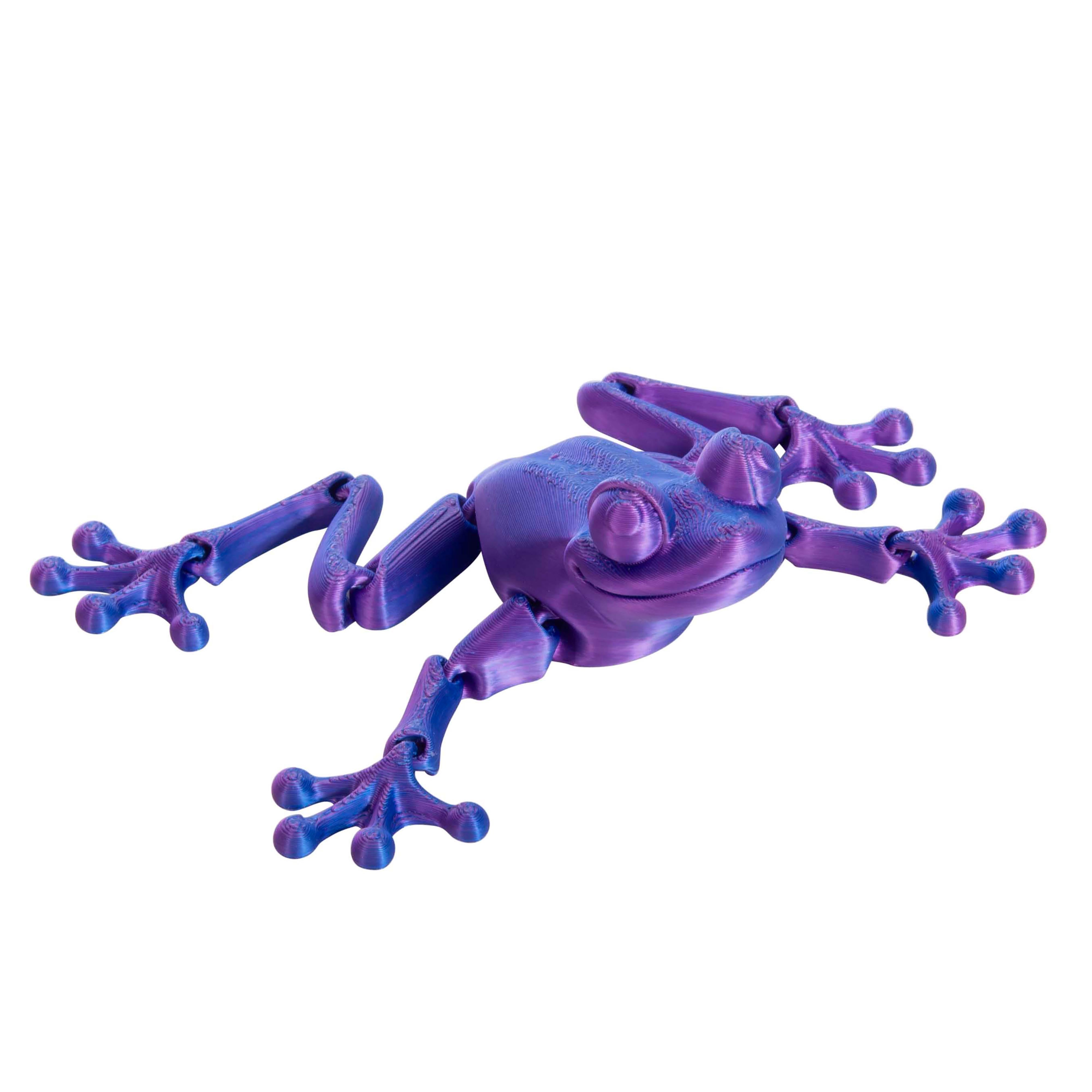 3D Sensory Frog