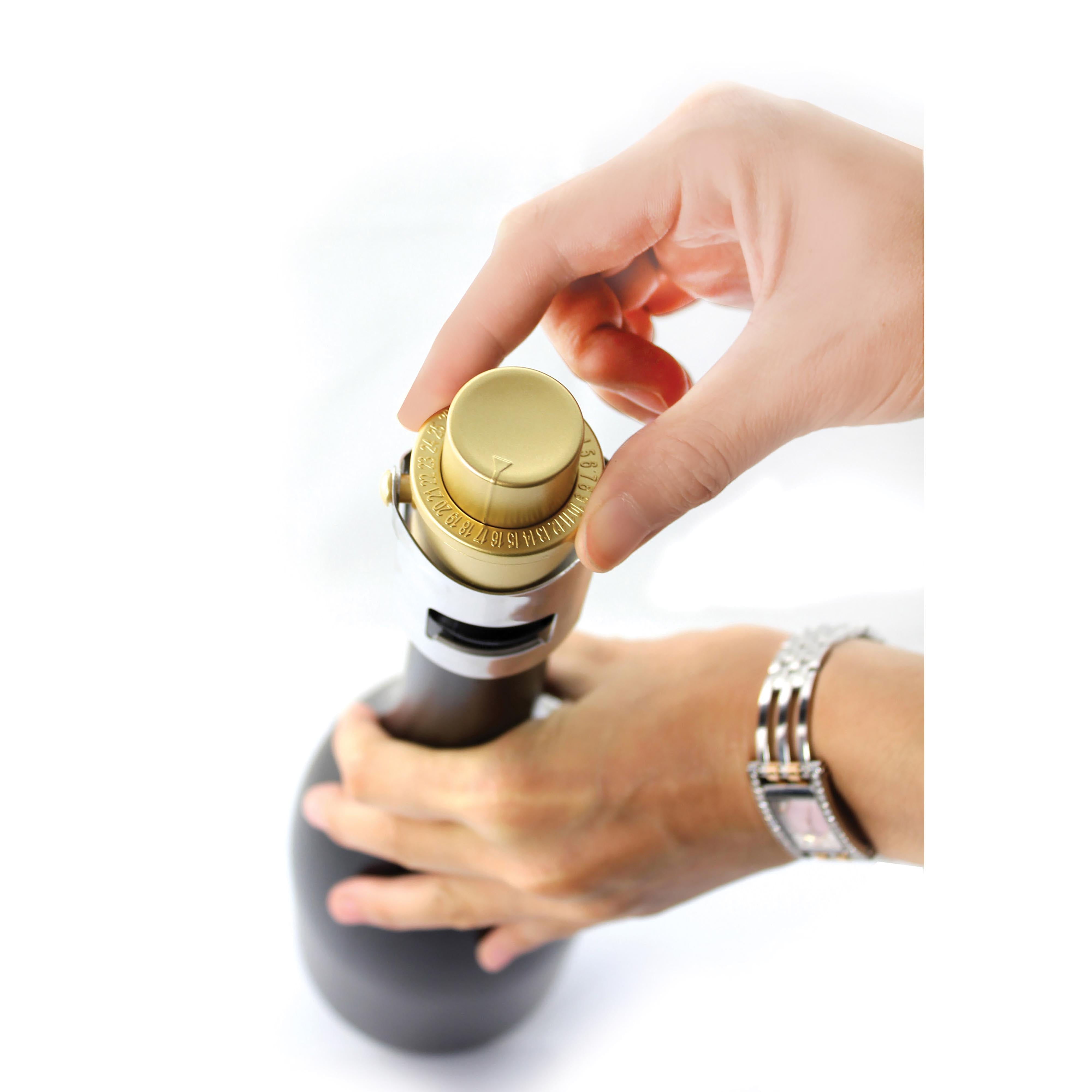 Pump It Up Champagne Stopper - New Colour