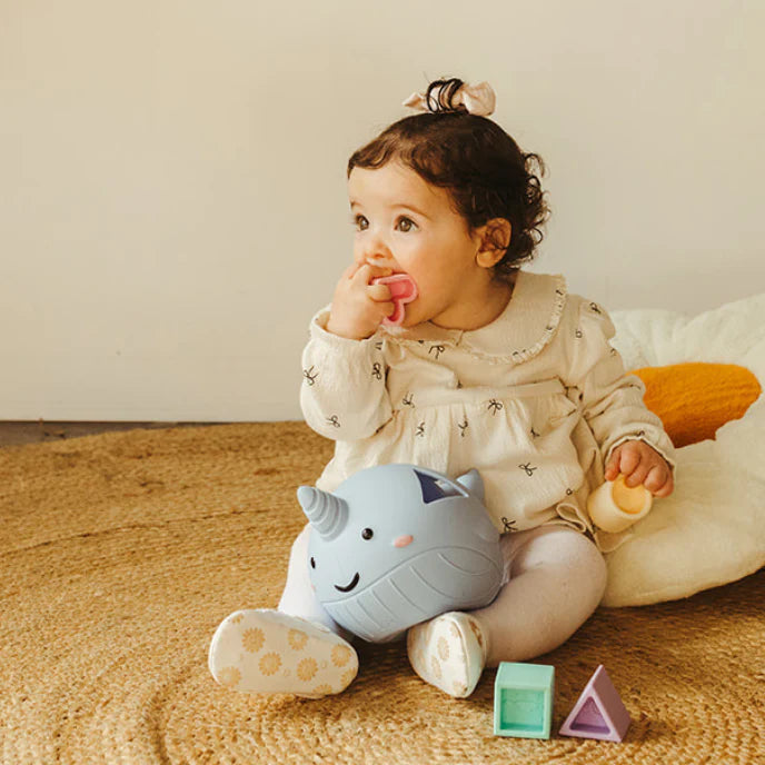 Narwhal Shape Sorter - Pastel