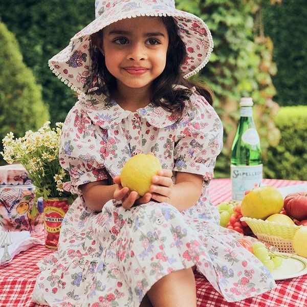 Stawberry Garden Tiered Smock Dress
