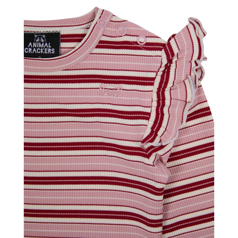 SUMMIT LS RIB