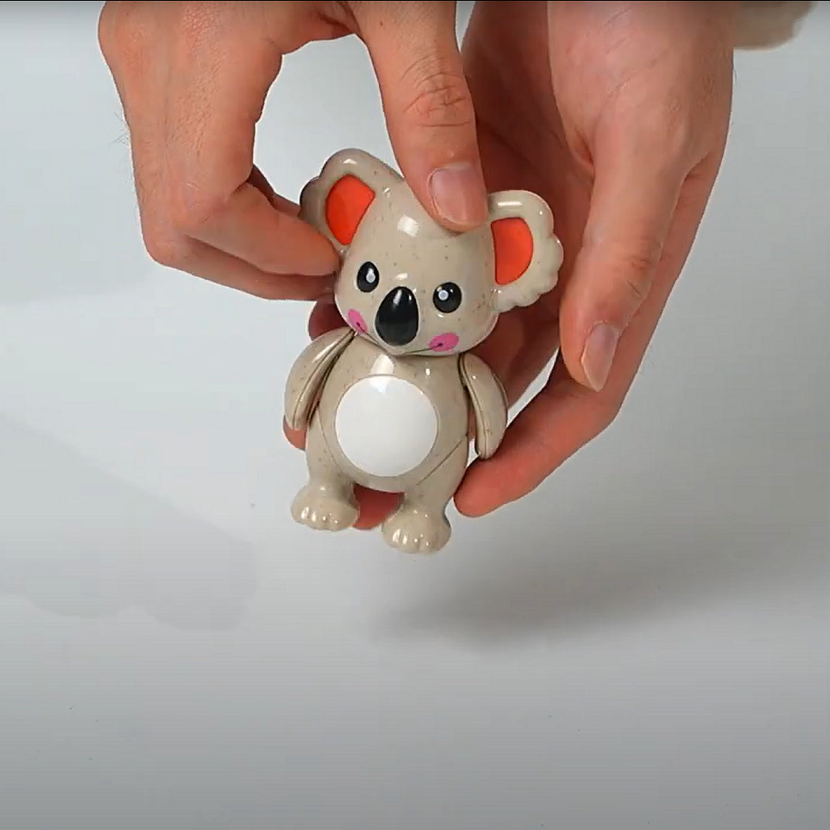 First Friends - Koala