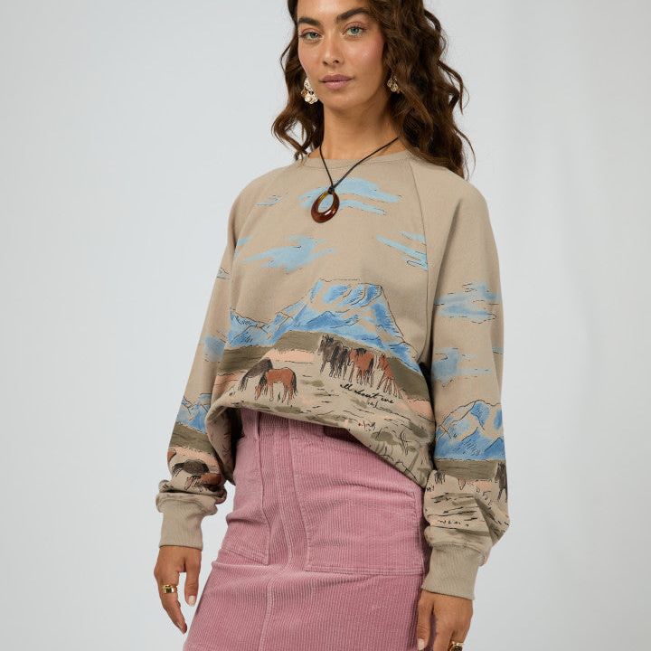 WILD HORSES BOX RAGLAN CREW