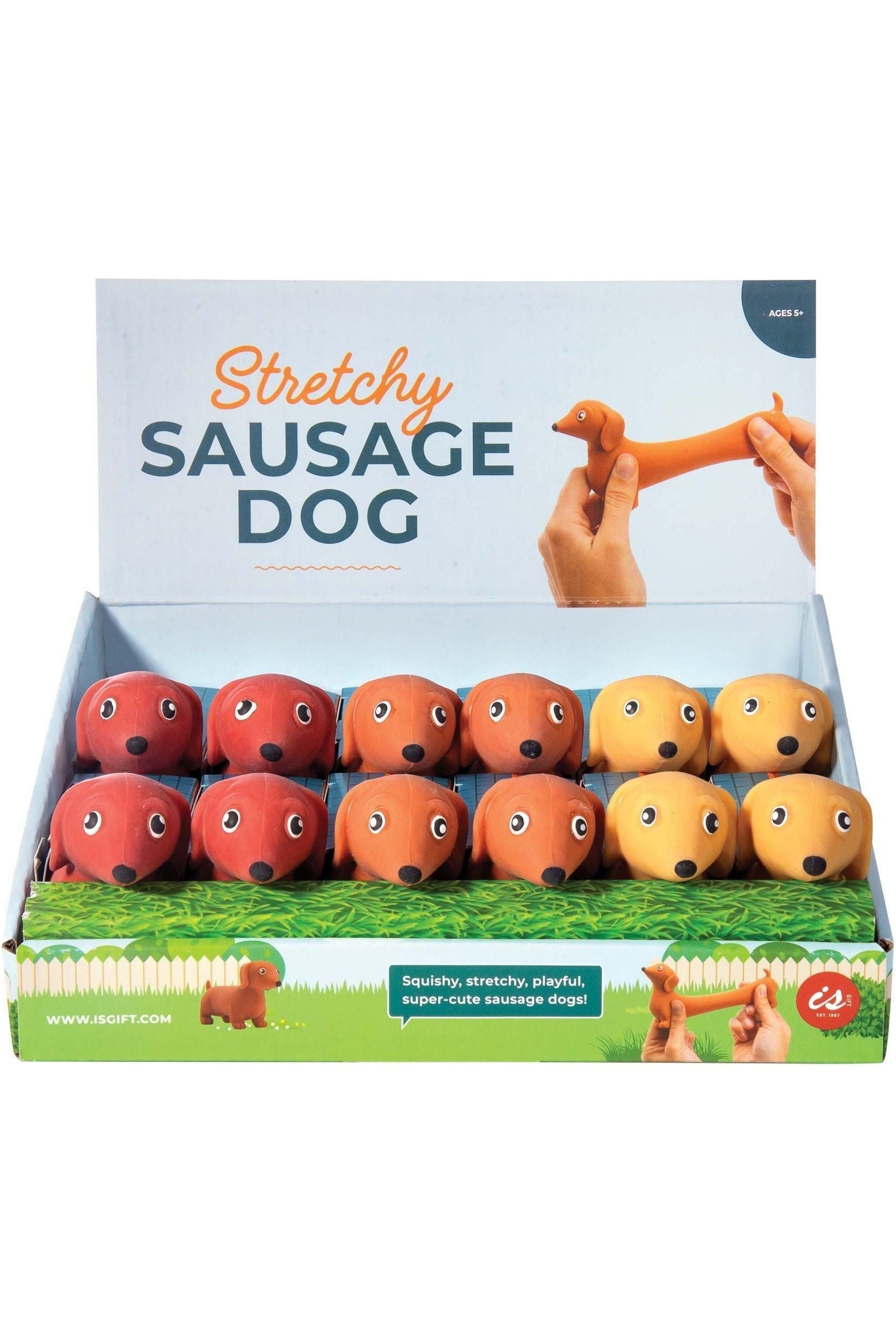 Stretchy Sausage Dog